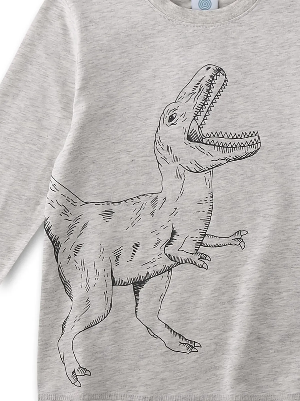 Піжама Sanetta для хлопчиків Довга Сіра Динозавр, фото №3 Піжама Sanetta для хлопчиків Довга Сіра Динозавр, фото №3