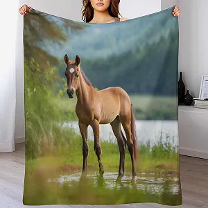 Покривало Чотири сезони Плед Теплий Плед для дивана/ліжка Фланель М'який і пухнастий флісовий плед (100 x 130 см) - Фото 1