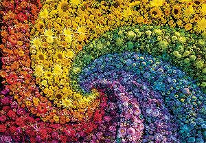 Пазл Clementoni Compact Colorboom Collection 1000 Tbsp. - Фото 1