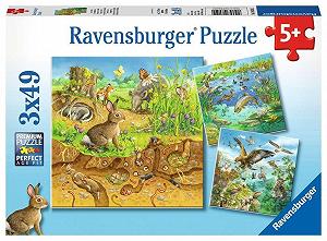 Пазл Ravensburger 00.008.050 3х49 деталей 210 мм - Фото 1