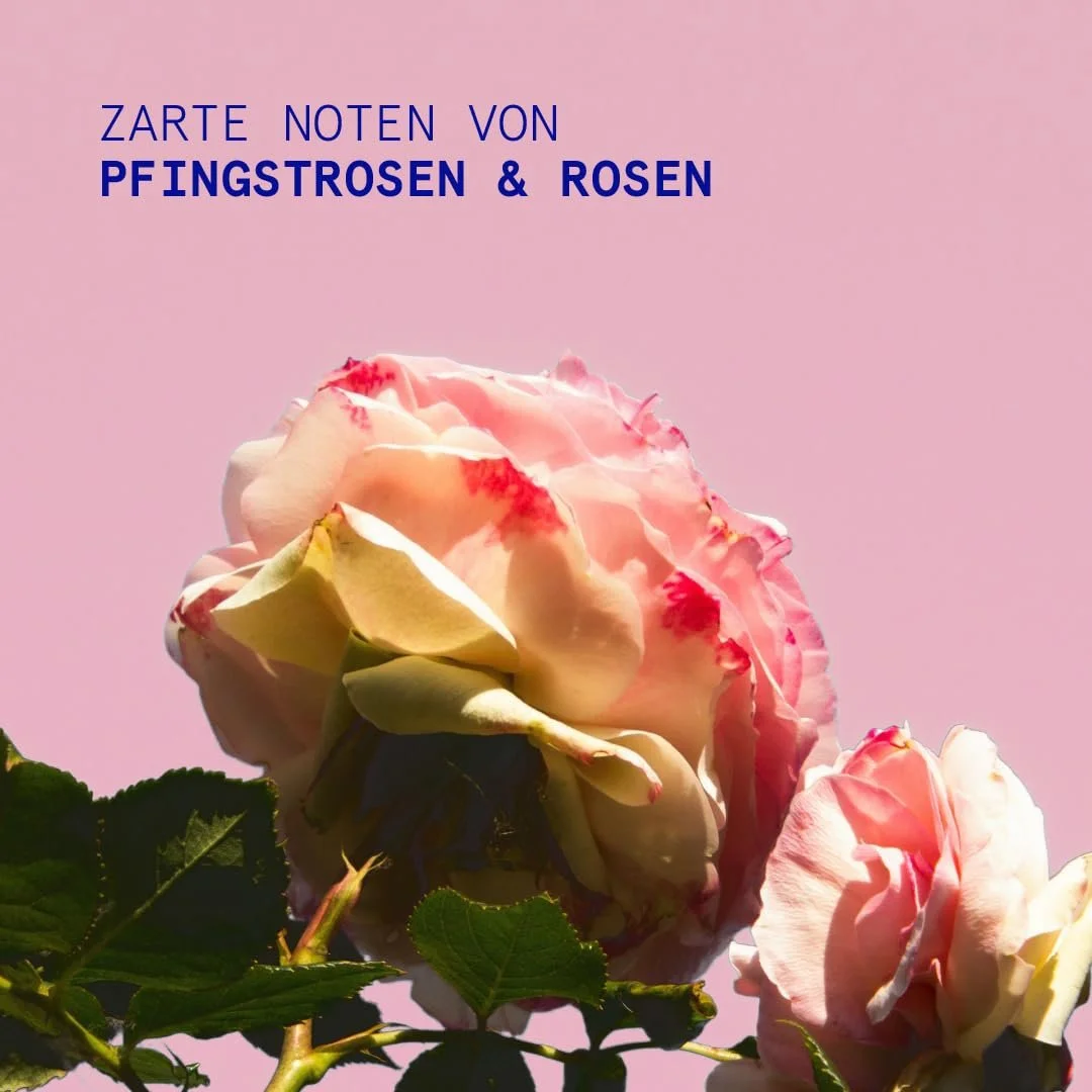 Набір для догляду за руками та губами KORRES Everyday Essentials, фото №8 Набір для догляду за руками та губами KORRES Everyday Essentials, фото №8