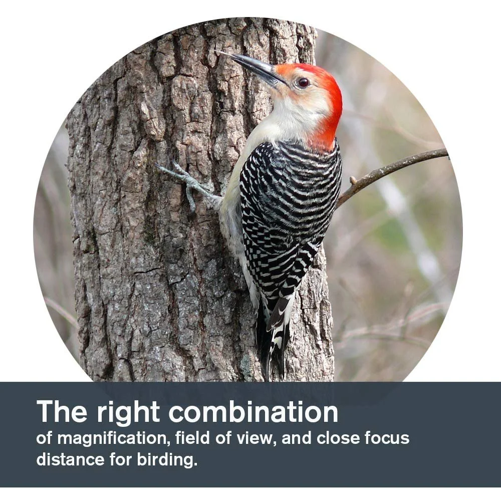 Бінокль Celestron TrailSeeker 71404 8 x 42 мм Чорний, фото №5