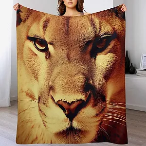 Покривало PAZZK Чотири сезони Фланелева накидка на диван - Фото 1