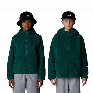 Куртка на блискавці The North Face Campshire для дітей, унісекс - Фото 1