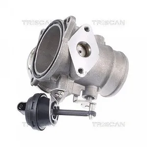 Клапан EGR TRISCAN 8813 29309 для VW synthetic.ua - Фото 1