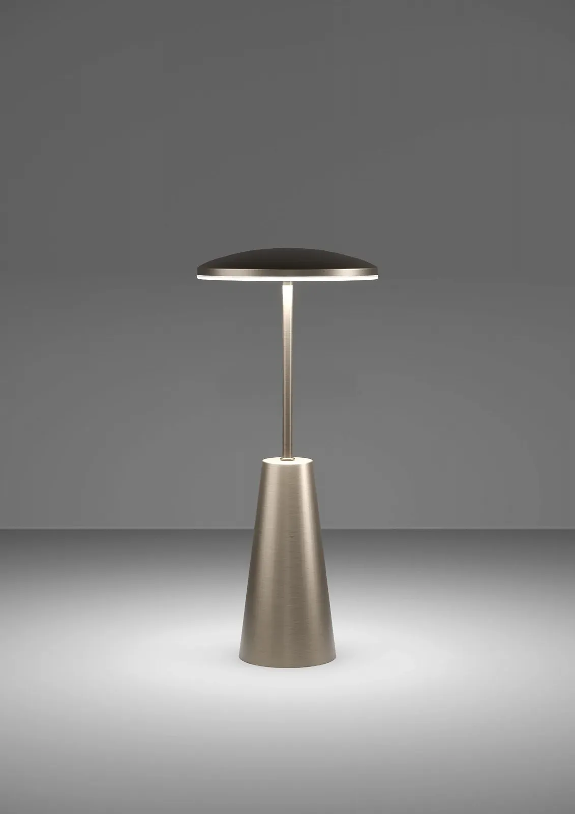 Світлодіодна вулична настільна лампа EGLO Piccola сенсорна димована з регулюванням кольору IP54 бронзова металева пластикова, фото №2