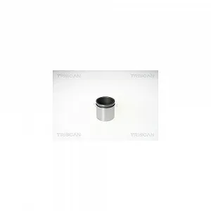 Поршень тормозного суппорта TRISCAN 8170 235476 для автомобилей со спорт-пакетом - Фото 1