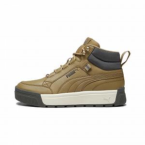 Кроссовки PUMA Tarrenz Sb III Puretex Мужские - Фото 1