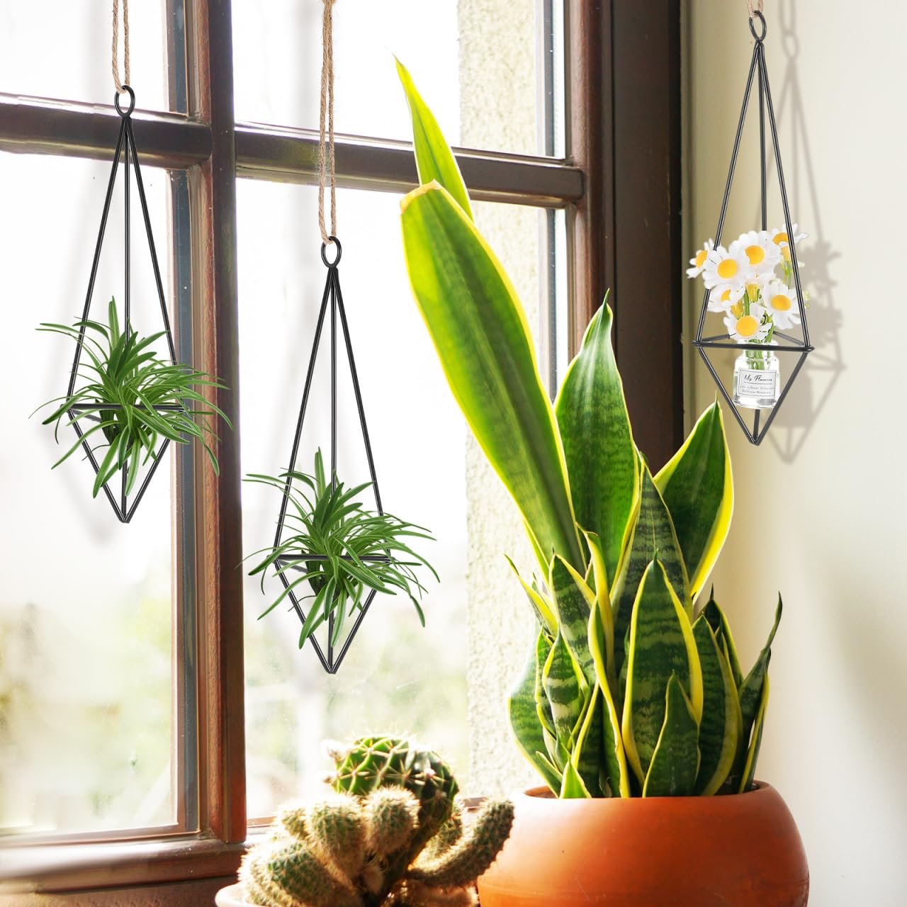 Підвісний тримач для повітряних рослин Happyyami Набір з 4 предметів Металевий Геометричний Залізне мистецтво, фото №4 Підвісний тримач для повітряних рослин Happyyami Набір з 4 предметів Металевий Геометричний Залізне мистецтво, фото №4