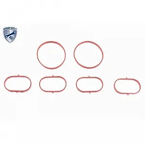 Впускной коллектор VAICO EXPERT KITS + V30-1744 для MERCEDES-BENZ synthetic.ua - Фото 1