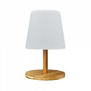 Настільна лампа Lumisky Standy Mini Wood Wireless Dimmable LED H25 см - Фото 1