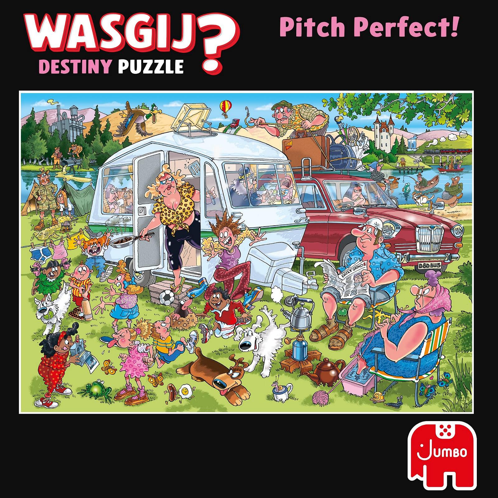 Пазл Wasgij Destiny 29 Perfect Pitch - On the Camping 1000 элементов, фото №6