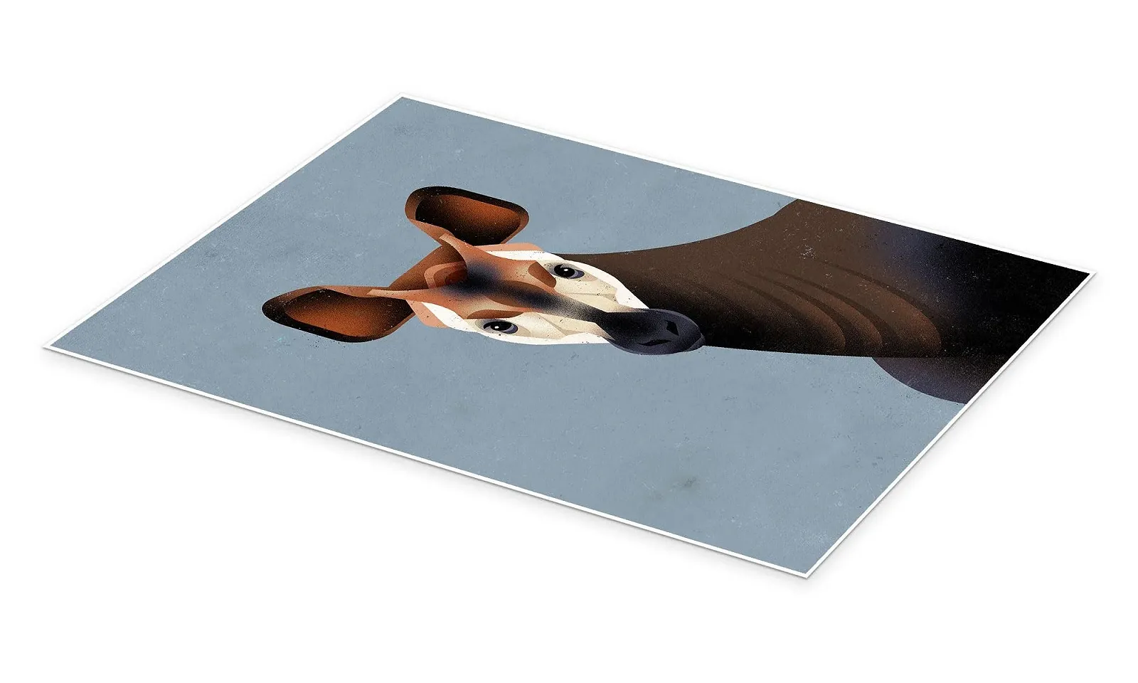 Постер Dieter Braun Okapi 30 x 40 см Синий, фото №2 Постер Dieter Braun Okapi 30 x 40 см Синий, фото №2