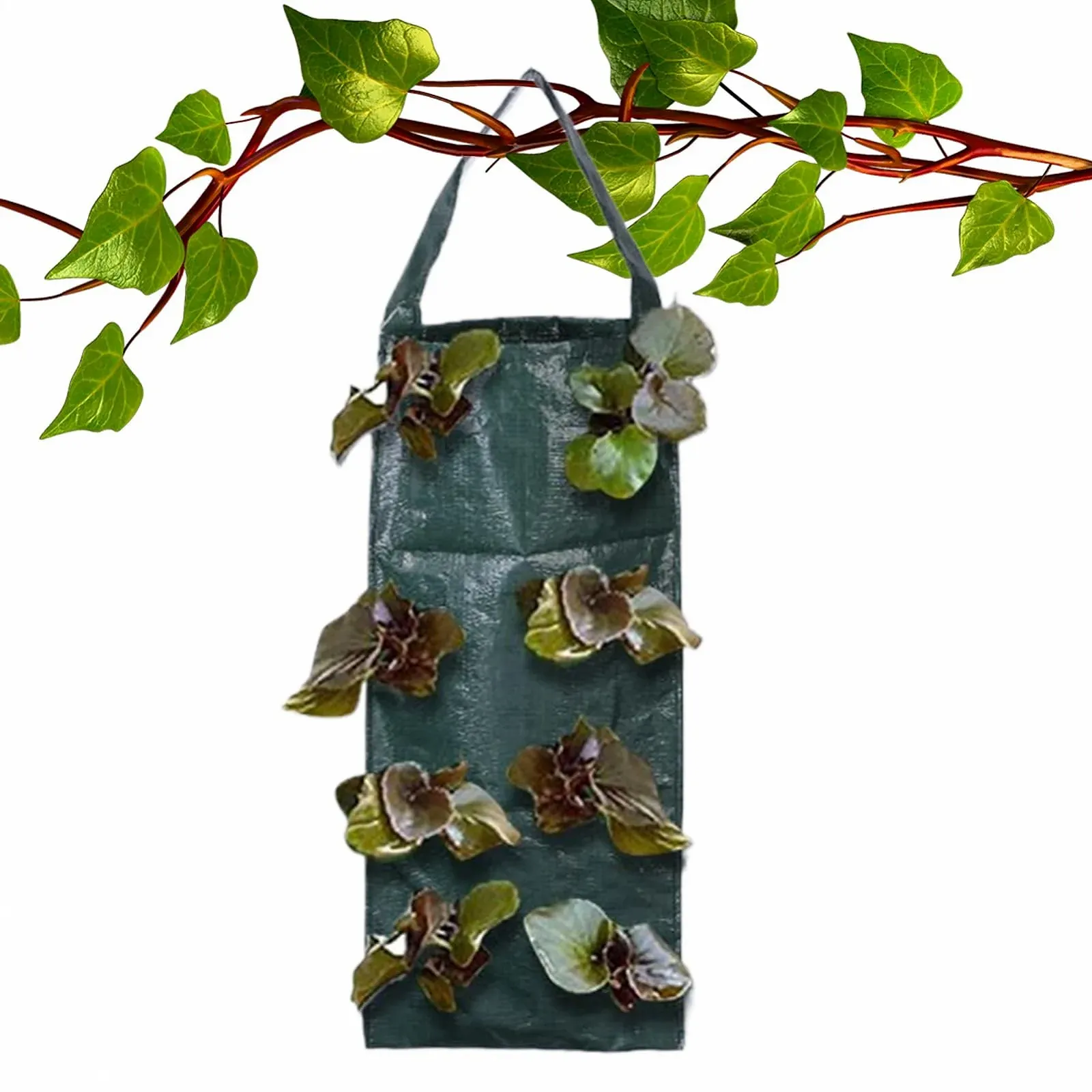 Сумки для вирощування рослин тканинні вертикальні з 8 отворами для полуниці та квітів, фото №1 Сумки для вирощування рослин тканинні вертикальні з 8 отворами для полуниці та квітів, фото №1