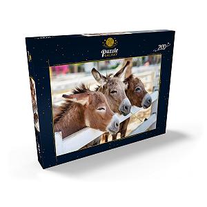 Пазл MyPuzzle MyPuzzle Special Collection Three Donkeys on the Farm Премиум 200 элементов цена на synthetic.ua - Фото 1 Пазл MyPuzzle MyPuzzle Special Collection Three Donkeys on the Farm Премиум 200 элементов synthetic.ua - Фото 1