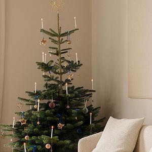 Подсвечники Georg Jensen 2021 Christmas Tree Four & Five Point Star Набор 2 шт Georg Jensen Палладий synthetic.ua - Фото 1