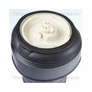 Пневматична пружина TRISCAN для BMW, задня вісь з обох сторін synthetic.ua - Фото 1