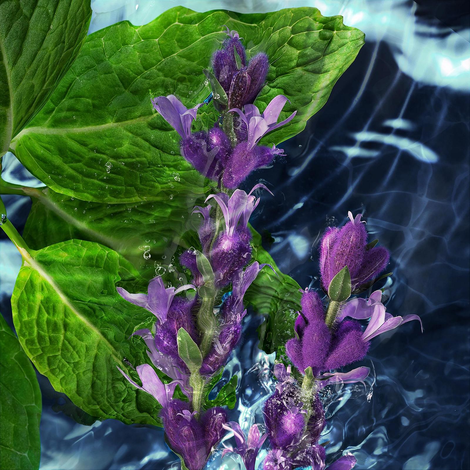 Гель для душа DAVIDOFF Cool Water Man мужской, фото №2