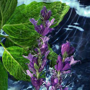 Гель для душа DAVIDOFF Cool Water Man мужской synthetic.ua - Фото 1