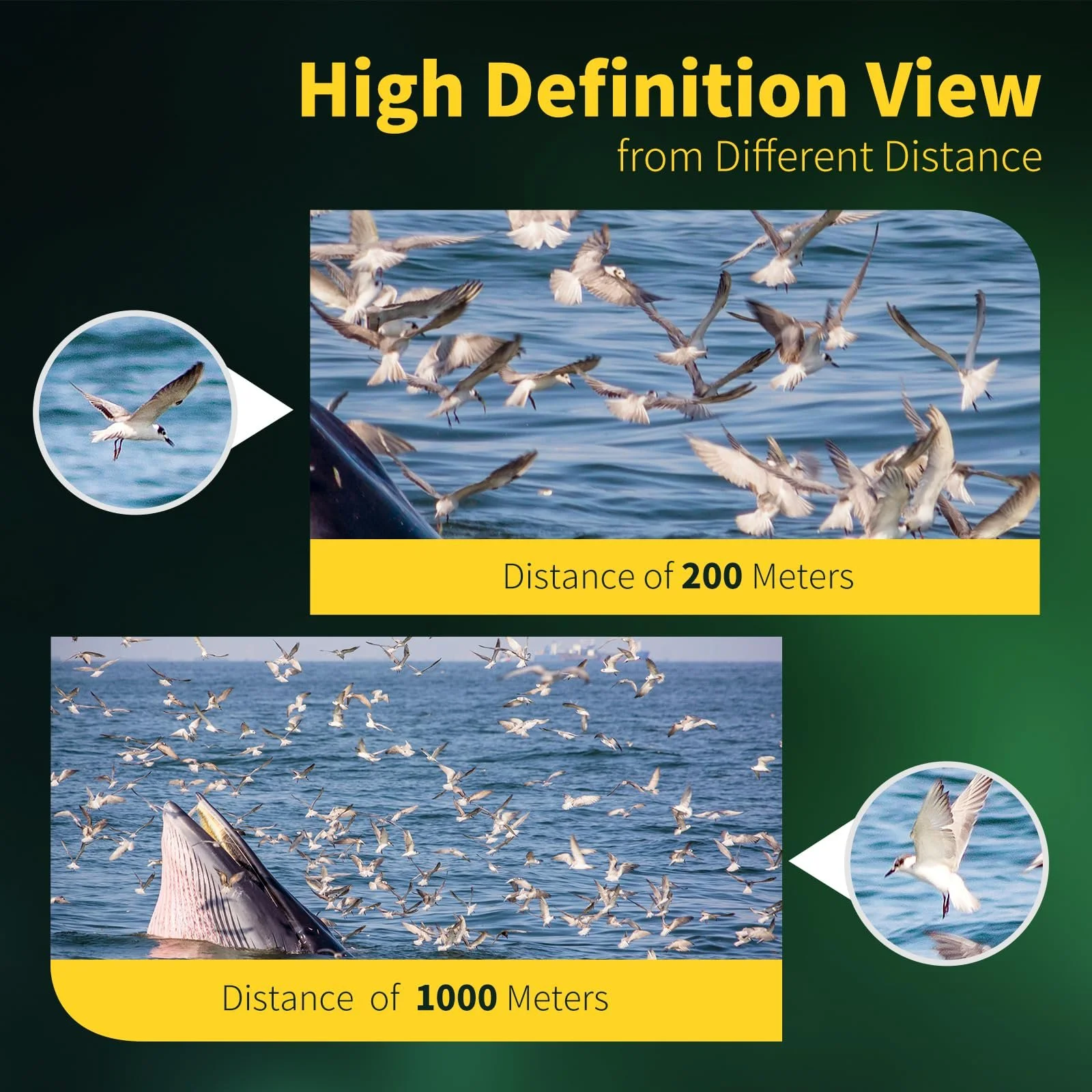 Бінокль 20x50 Professional High Performance Porro BAK4 Multilayer Coated, фото №9