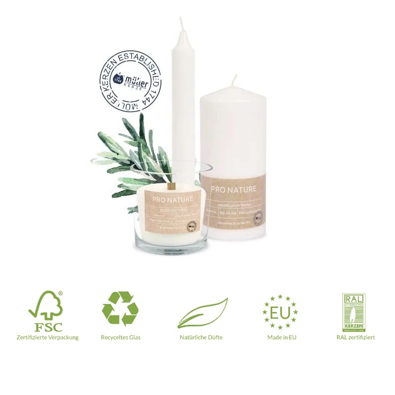 Свеча Müller Kerzen PRO NATURE в стекле с деревянным фитилем белая стеариновая 10 х 10 см 30 часов без аромата 1 штука, фото №5 Свеча Müller Kerzen PRO NATURE в стекле с деревянным фитилем белая стеариновая 10 х 10 см 30 часов без аромата 1 штука, фото №5