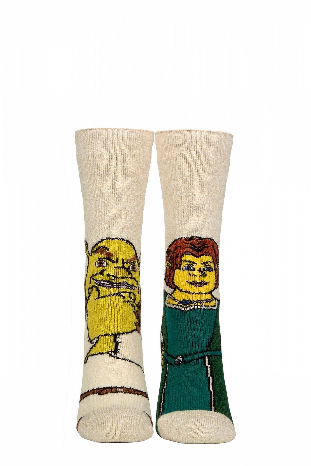 Термошкарпетки SOCKSHOP Shrek для жінок - 1.6 TOG Lite, утеплені, фото №1