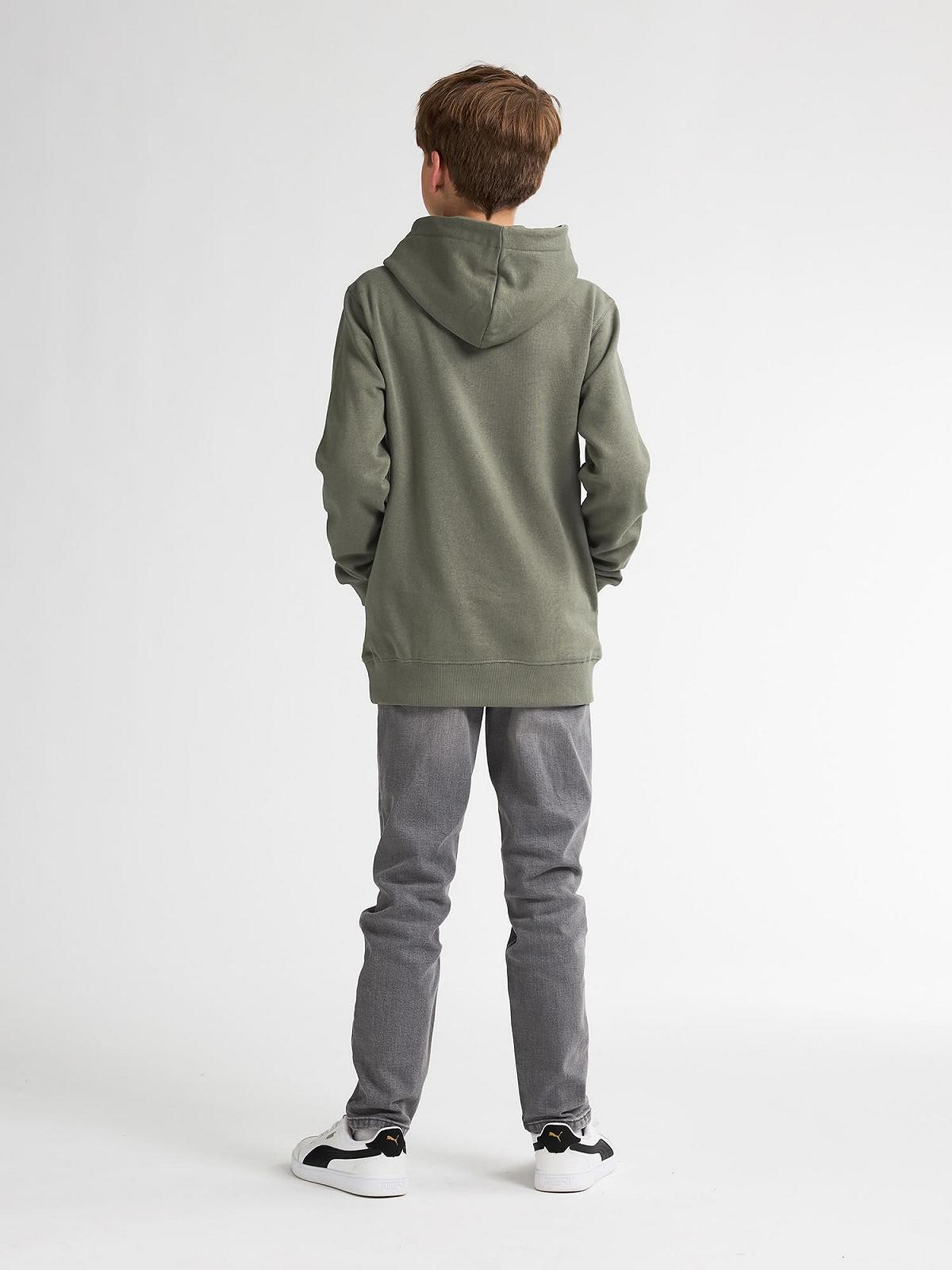 Худі Petrol Industries Catskill Artwork, фото №6