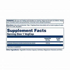 Cordyceps Mushroom 520mg 100 vcaps synthetic.ua - Фото 1