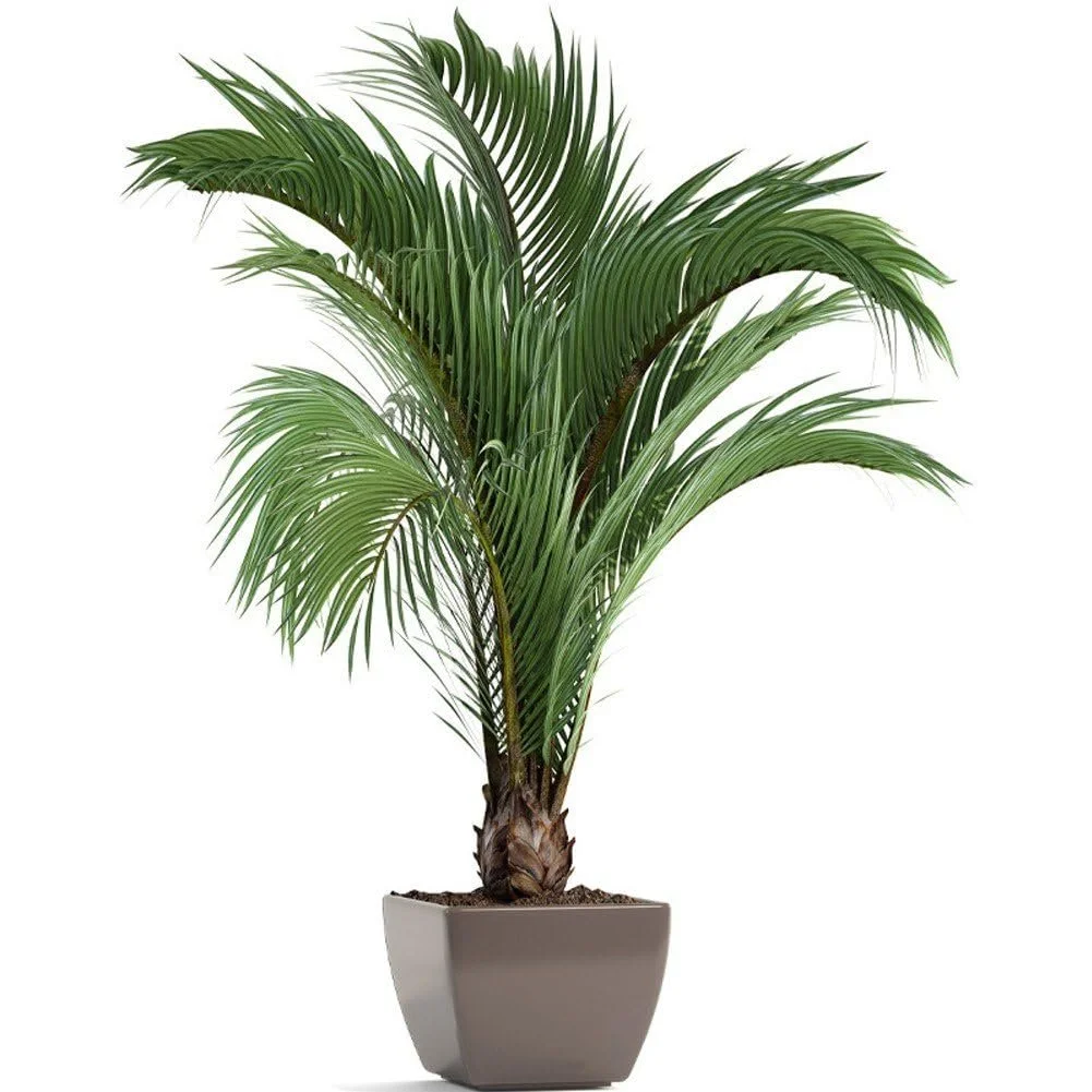 Наклейка на стіну Імітація зелених рослин 3D Горщик Ваза Квіти, фото №1