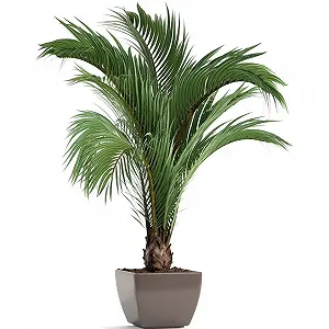 Наклейка на стіну Імітація зелених рослин 3D Горщик Ваза Квіти - Фото 1