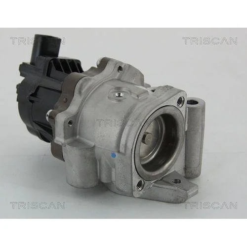 Клапан EGR TRISCAN 8813 15207 для FIAT IVECO, фото №3