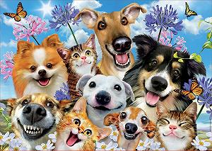Пазл Educa Borrás 17983 Dogs and Cats Selfie 500 деталей synthetic.ua - Фото 1