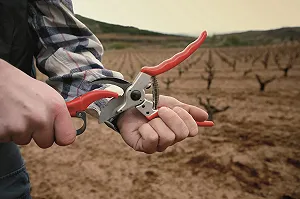 Точилка Altuna 8140 Multisc synthetic.ua - Фото 1