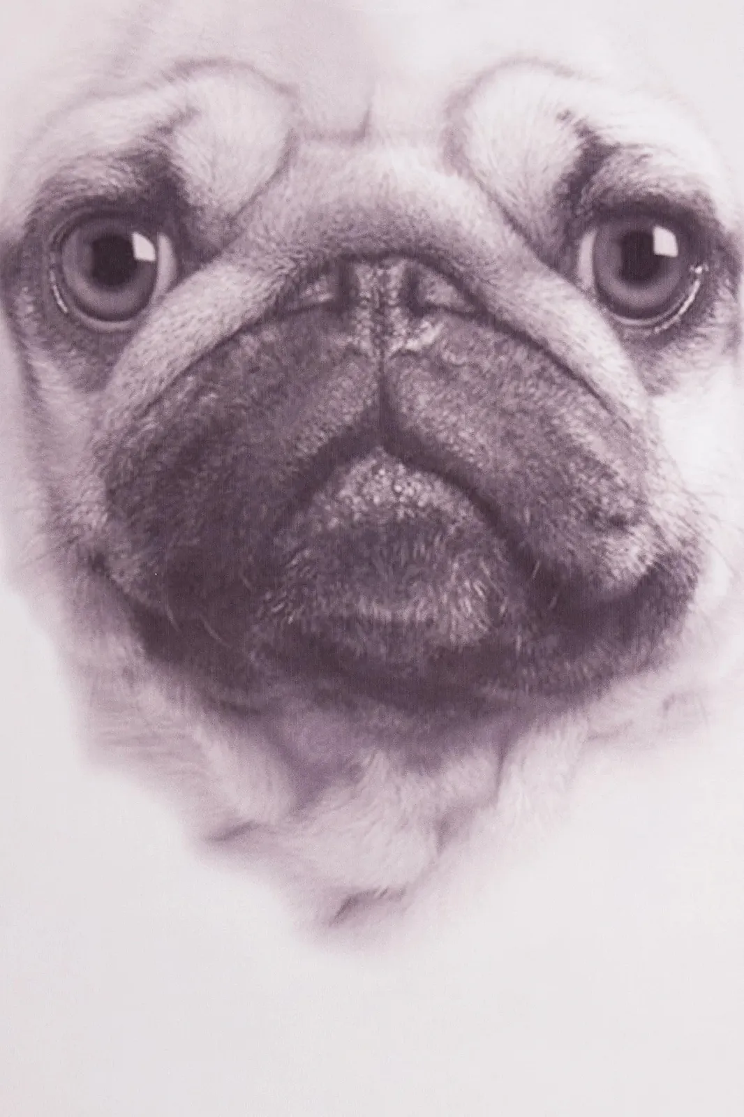 Піжама ThePyjamaFactory Pug 3D Paws Довга, фото №3