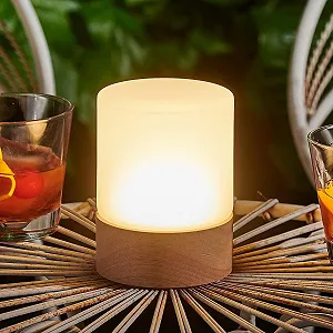 Настільна лампа Omniance Elara LED Акумуляторна Бездротова з пультом ДК 1 лампа 2 джерела світла synthetic.ua - Фото 1