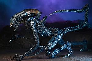 Фигурка Инопланетянин-Arachnoid Alien NECA Reel Toys Aliens 23 см synthetic.ua - Фото 1