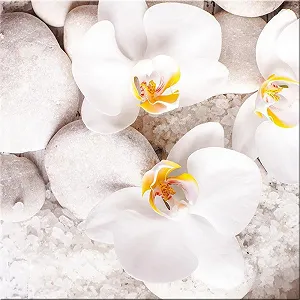 Скляна картина Artissimo AG2072 A White Sence II Orchids 30x30 см - Фото 1