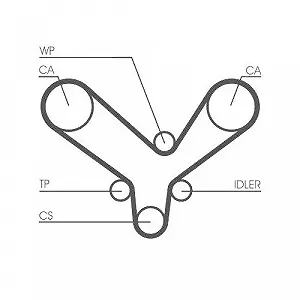 Водяний насос + комплект ременя ГРМ CONTINENTAL CTAM CT726WP2 synthetic.ua - Фото 1