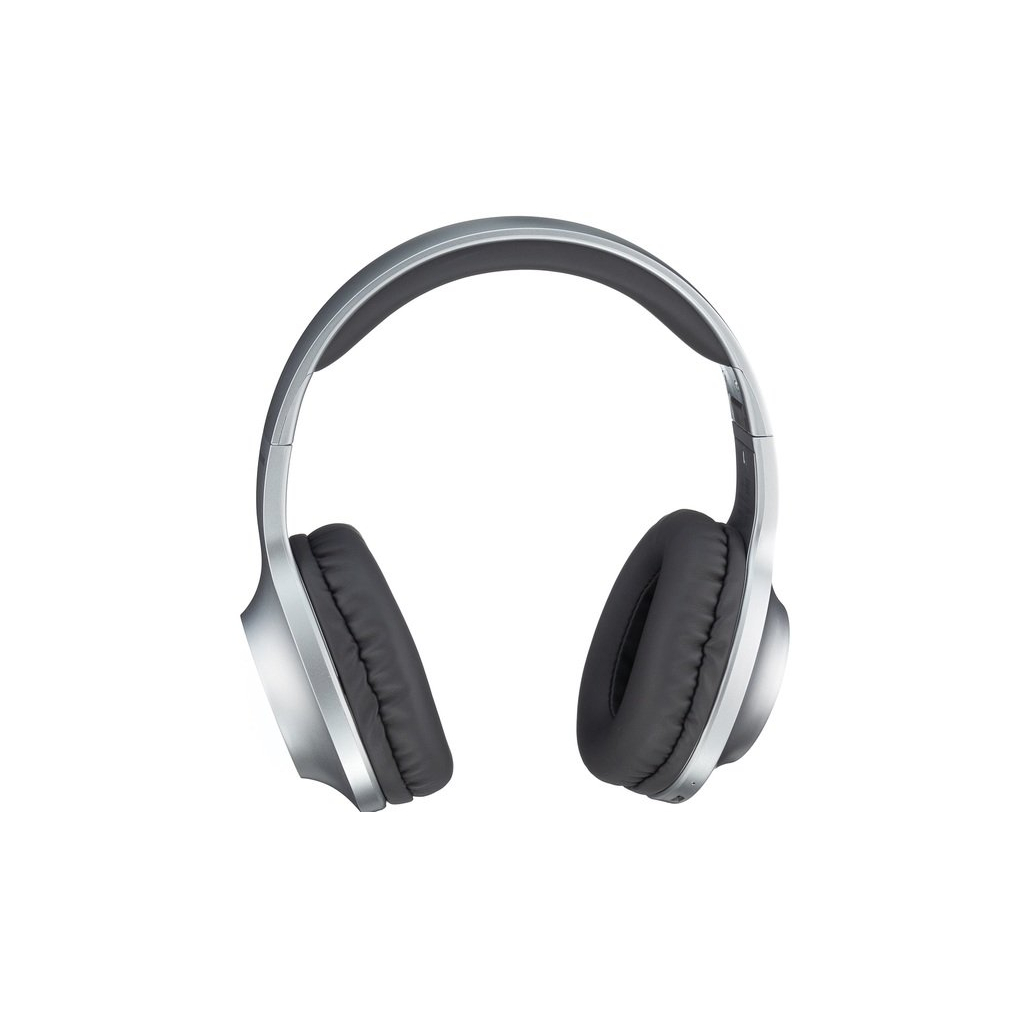 Навушники Panasonic RB-HX220BEES Gray (RB-HX220BEES), фото №3