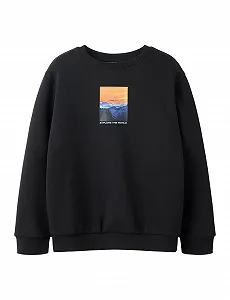 Толстовка Name IT Nkmnewton LS Nreg SWE Bru Lnoos для хлопчиків - Фото 1