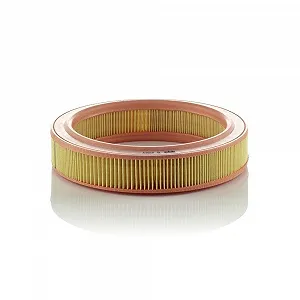 Повітряний фільтр MANN-FILTER C 2534 для CITROËN FORD GENERAL MOTORS - Фото 1