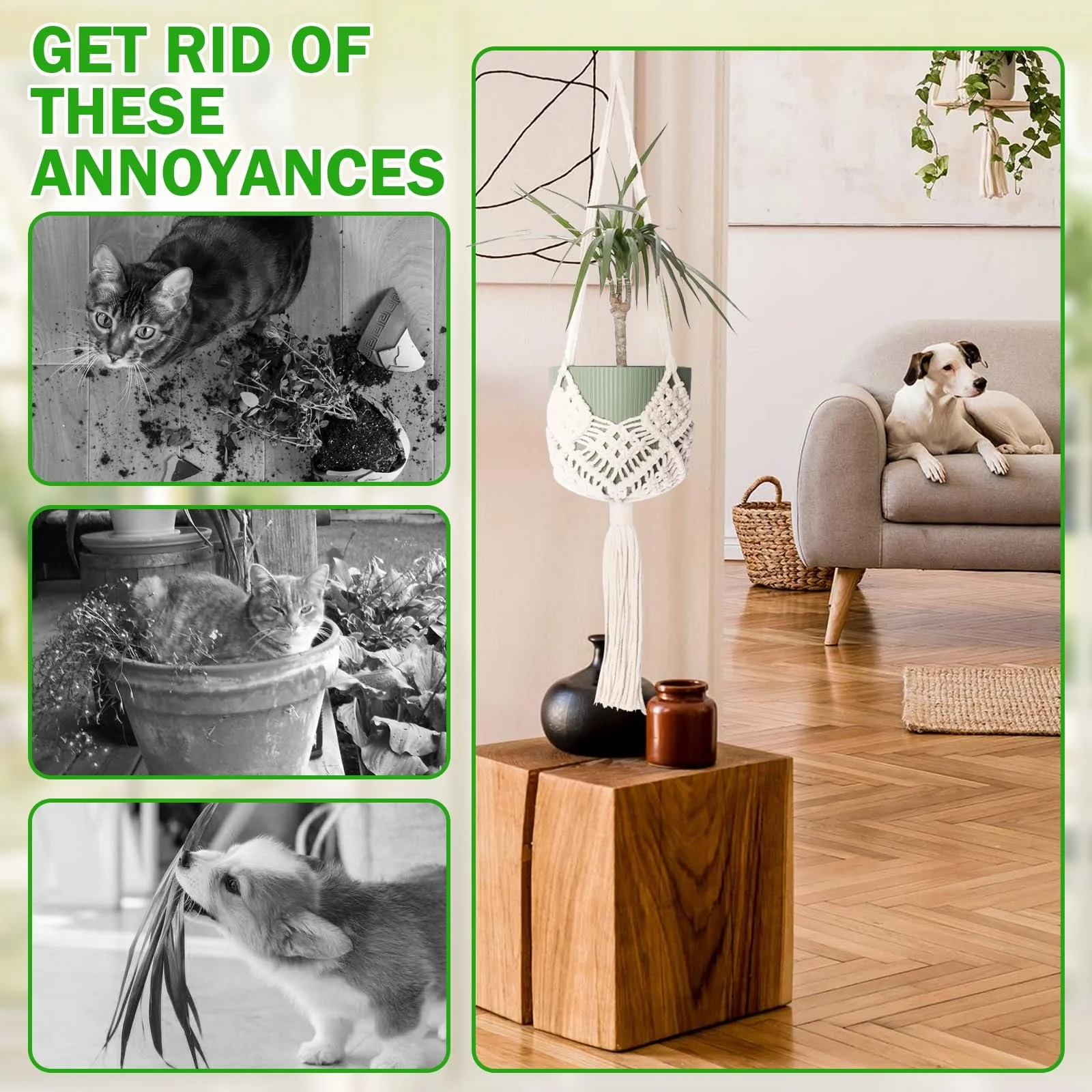 Підвісний кошик Макраме 4 шт. Бавовняна мотузка для квіткового горщика Бохо декоративна для дому та саду, фото №4 Підвісний кошик Макраме 4 шт. Бавовняна мотузка для квіткового горщика Бохо декоративна для дому та саду, фото №4