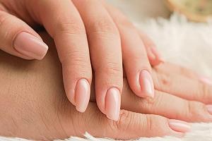 Крем для рук с органическим оливковым маслом Mandarin, Lime & Basil 50 мл synthetic.ua - Фото 1