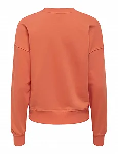 Кофта ONLY Onlphilea L/S Fruit O-Neck Ub SWT Женская synthetic.ua - Фото 1