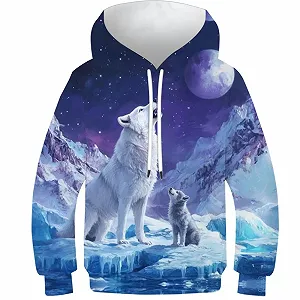 Худі для хлопчиків Wolf KHHKJBVCE 3D принт Довгий рукав З кишенями - Фото 1