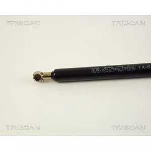 Газлифт багажника TRISCAN 8710 38209 для CITROËN synthetic.ua - Фото 1