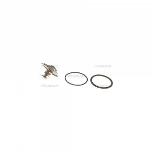 Термостат системы охлаждения TRISCAN 8620 9785 для BMW - Фото 1