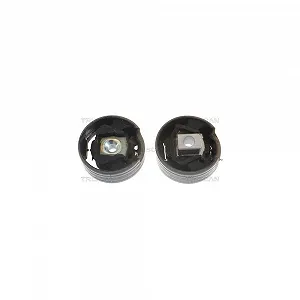 Опора двигуна TRISCAN 8505 29114 для AUDI SEAT SKODA VW, задня нижня - Фото 1