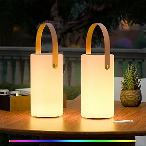 Набор из 2 настольных ламп MALUX Solar Outdoor Lantern Wireless 2-in-1 IP44 Remote Control 8 Colours - Фото 1
