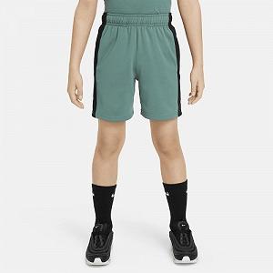 Шорты Nike NSW N AIR SHORT PK XL - Фото 1